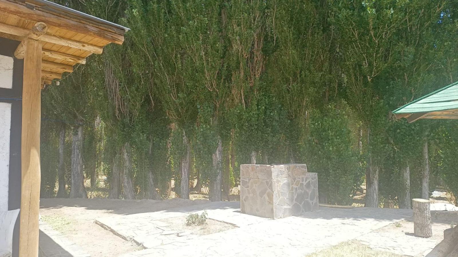 Cabanas De Los Andes ウスパジャタ エクステリア 写真