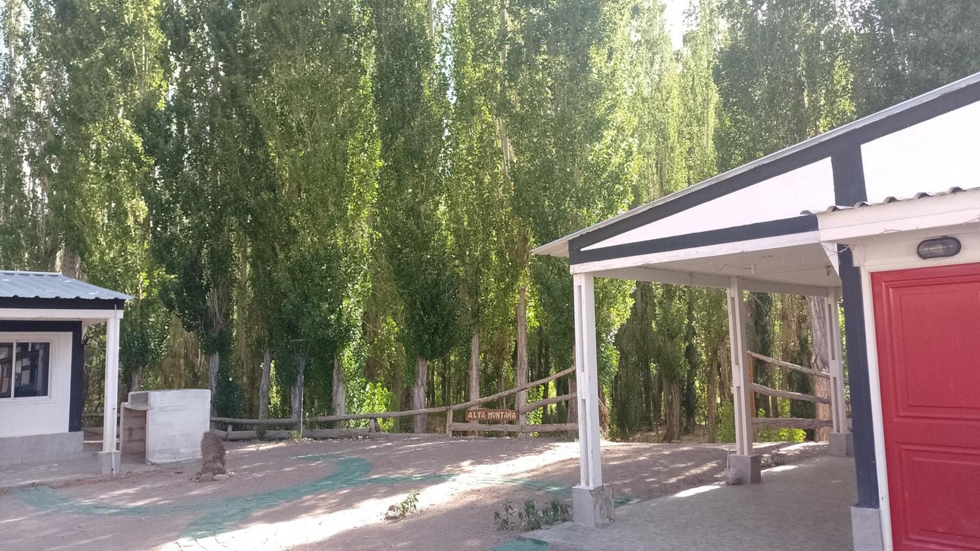 Cabanas De Los Andes ウスパジャタ エクステリア 写真