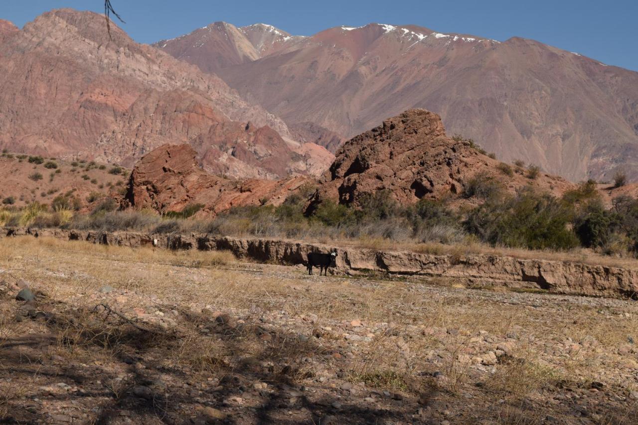 Cabanas De Los Andes ウスパジャタ エクステリア 写真